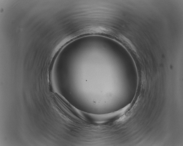 X0000068771226200605011018