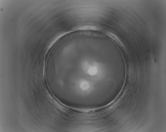 X0000068771228200605011018