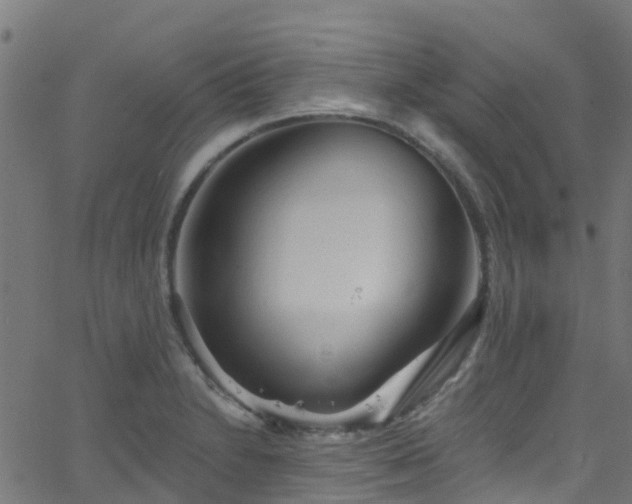 X0000068771230200605011019