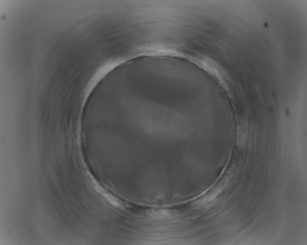 X0000068771231200605011019