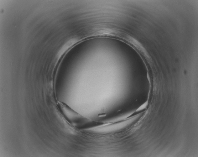 X0000068771234200605011019