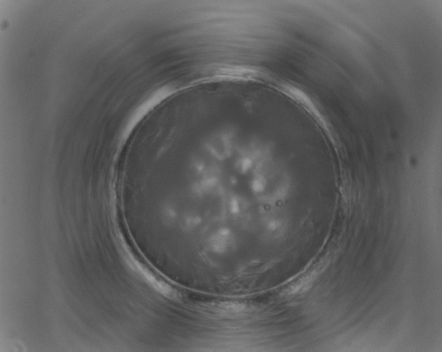 X0000068771235200605011019