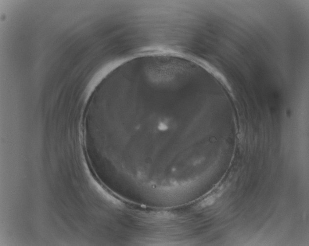 X0000068771239200605011019