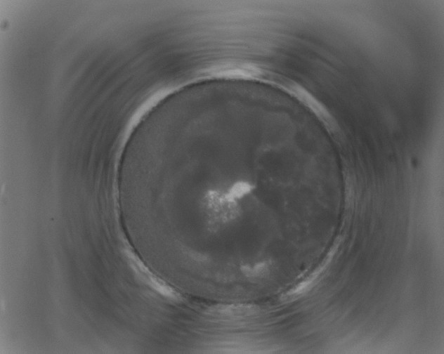 X0000068771240200605011019