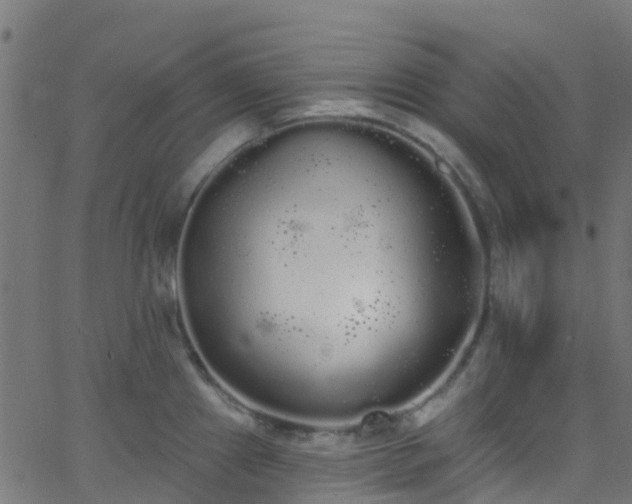 X0000068771241200605011019