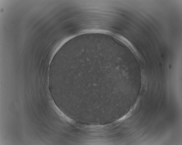 X0000068771244200605011019