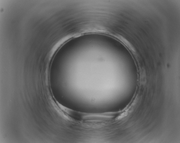 X0000068771246200605011019