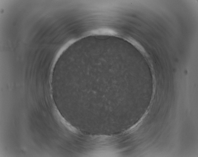 X0000068771248200605011019