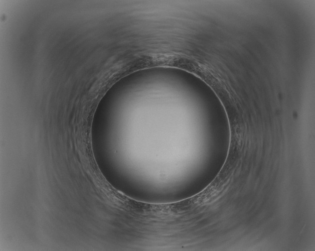 X0000068771249200605011018