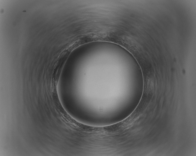 X0000068771250200605011018