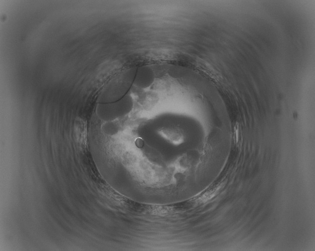 X0000068771251200605011018