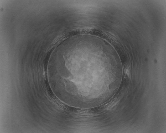 X0000068771252200605011018