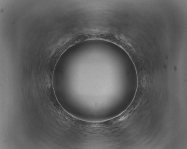 X0000068771253200605011018