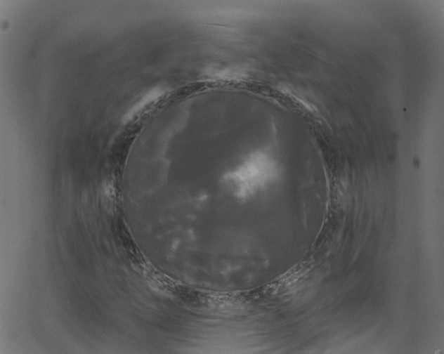 X0000068771254200605011018