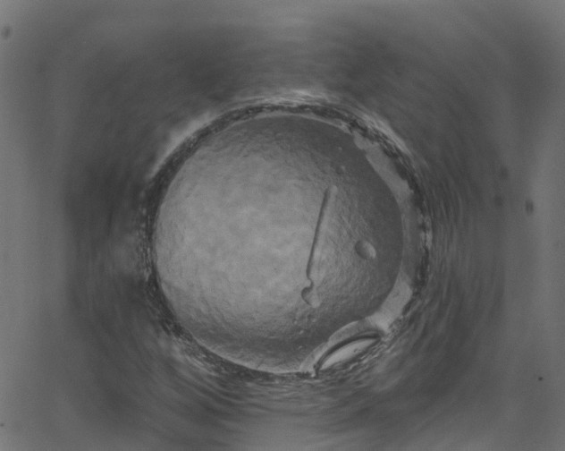 X0000068771256200605011018