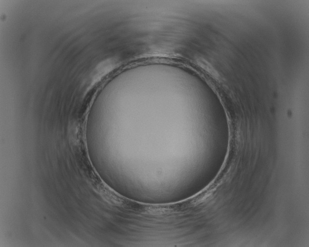 X0000068771258200605011018