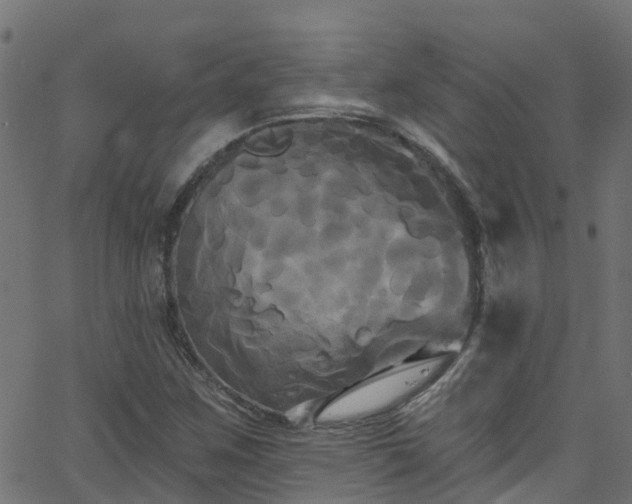 X0000068771259200605011018