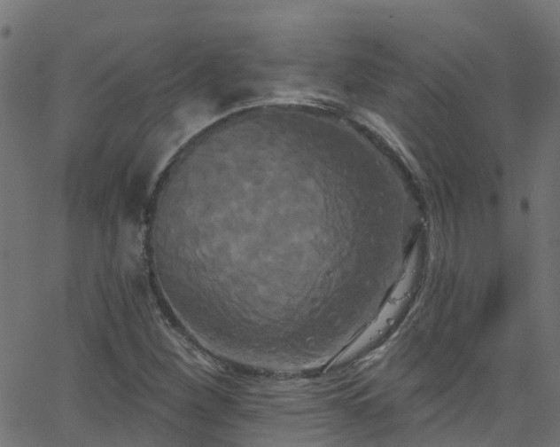 X0000068771260200605011018