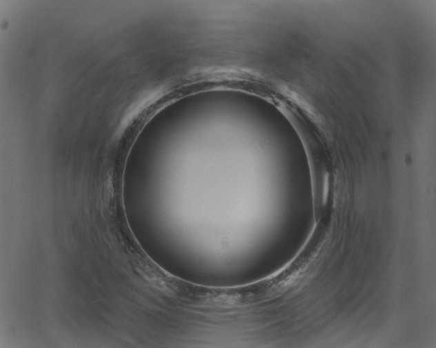 X0000068771261200605011018