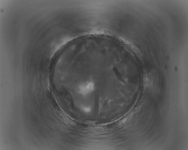 X0000068771262200605011018