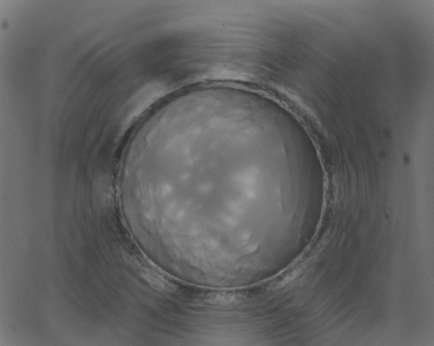 X0000068771266200605011018