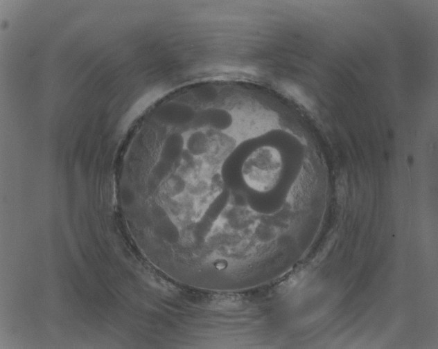 X0000068771267200605011018