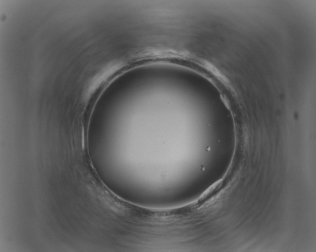 X0000068771269200605011018