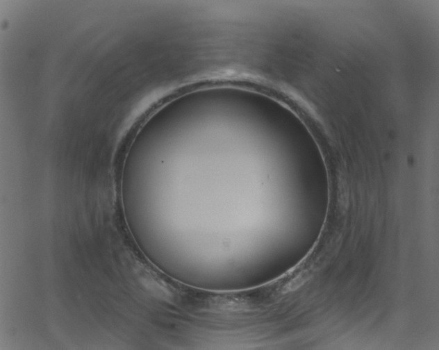 X0000068771270200605011018