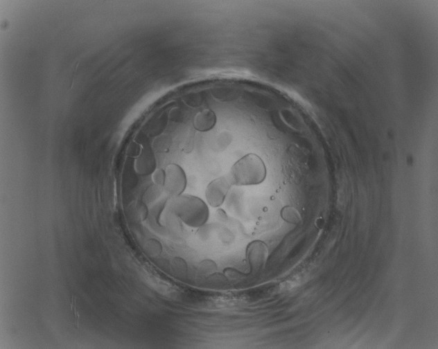 X0000068771271200605011018