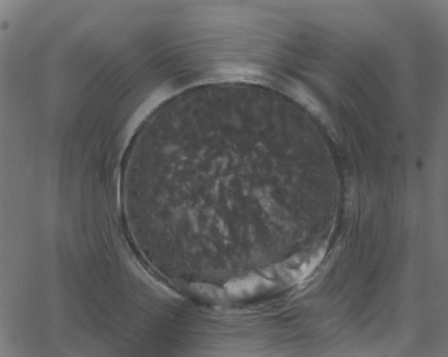 X0000068771275200605011018