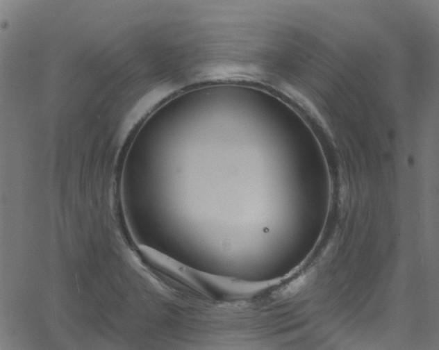 X0000068771277200605011018