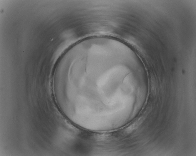 X0000068771278200605011018