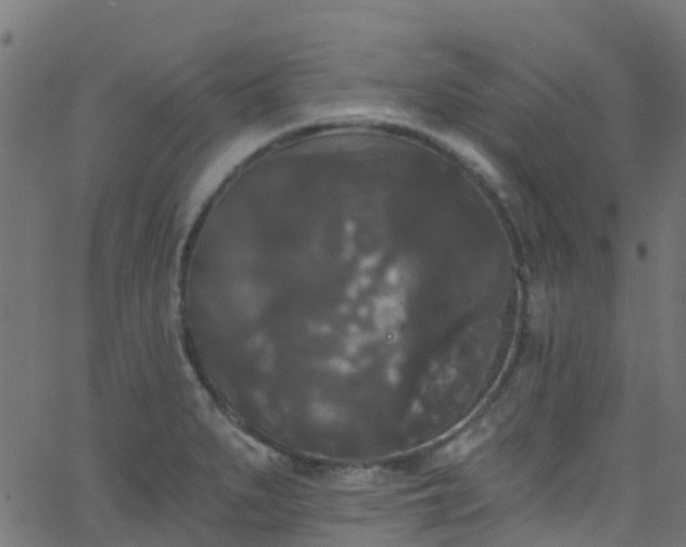 X0000068771279200605011017