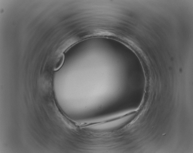 X0000068771281200605011017