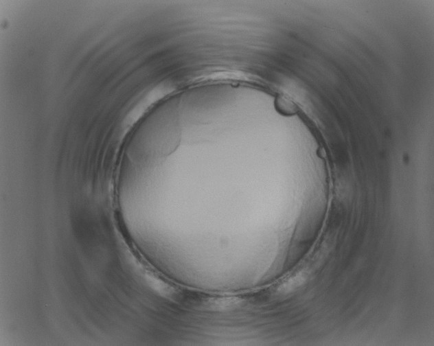 X0000068771282200605011017