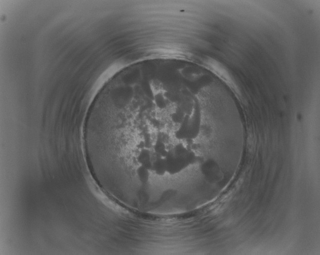 X0000068771283200605011017