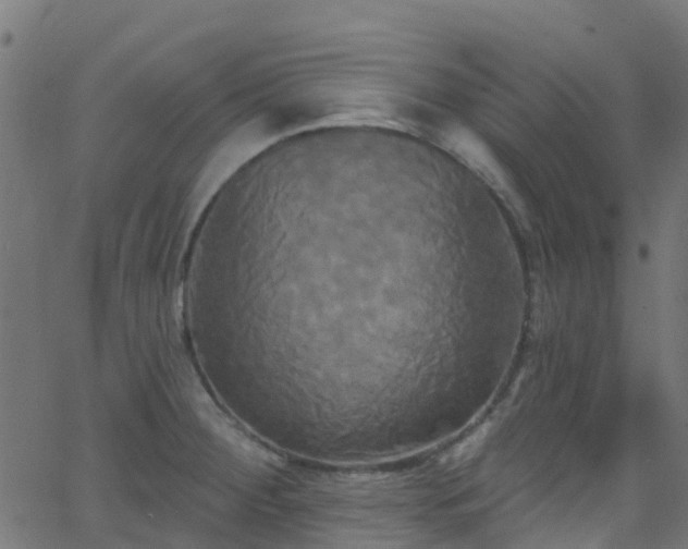 X0000068771284200605011017