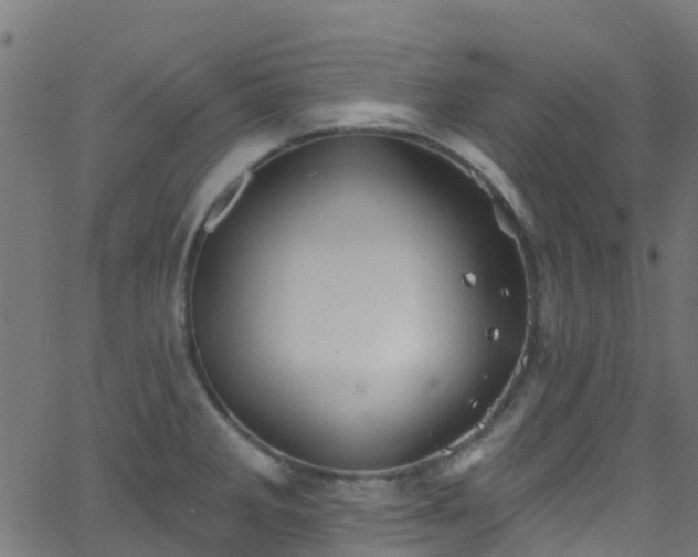 X0000068771285200605011017