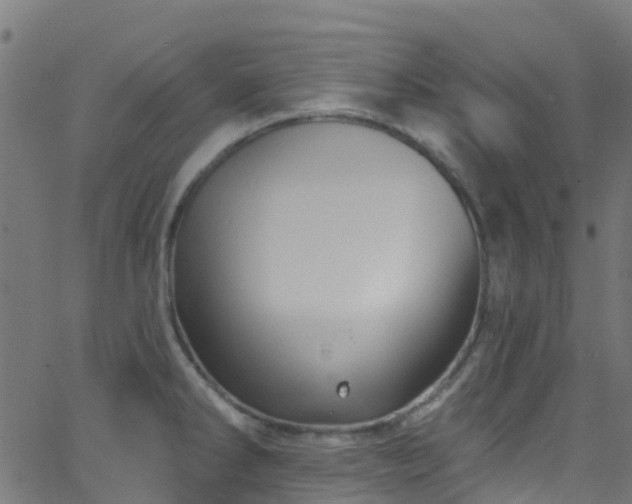 X0000068771286200605011017