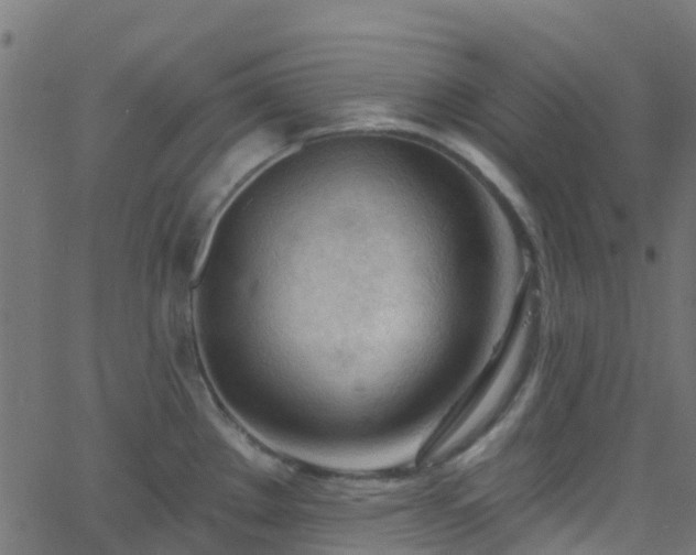 X0000068771289200605011017