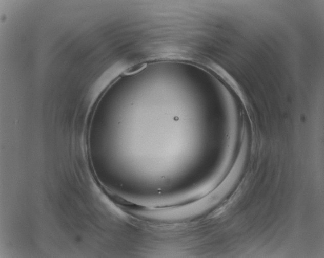 X0000068771293200605011017