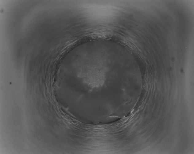 X0000068771297200605011016