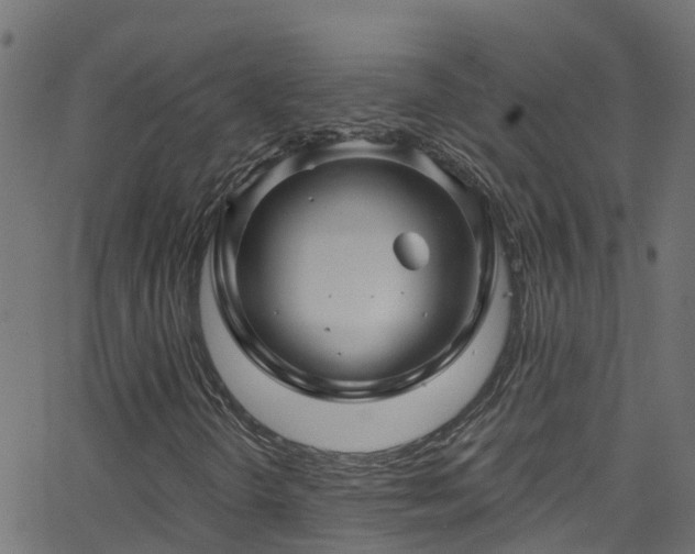 X0000068771298200605011016