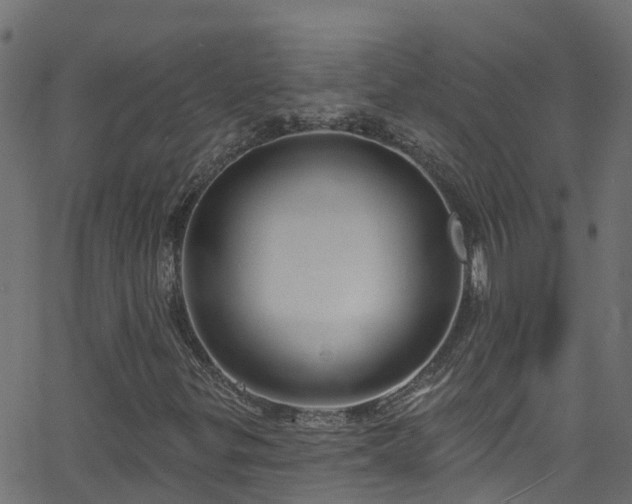 X0000068771299200605011016