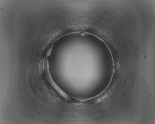 X0000068771300200605011016