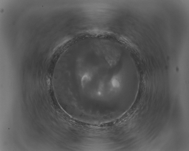 X0000068771302200605011017