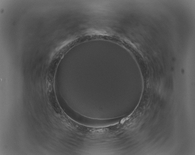 X0000068771303200605011017