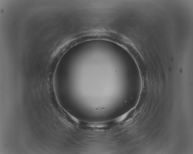 X0000068771304200605011017