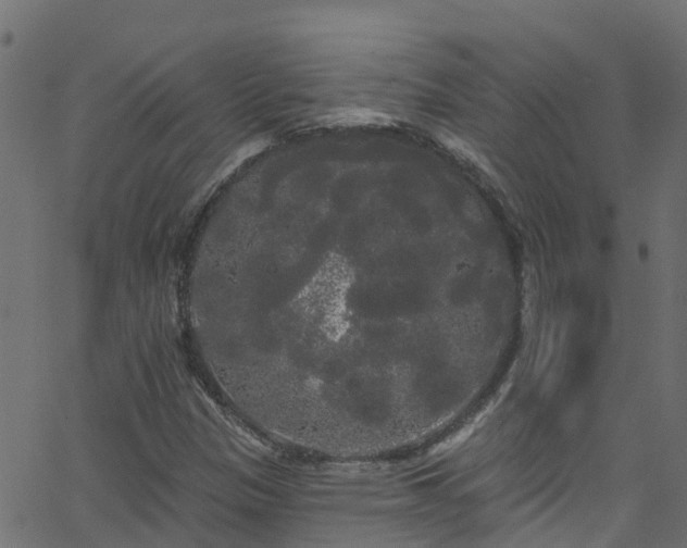 X0000068771305200605011017