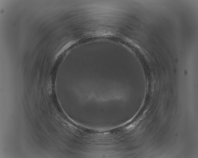 X0000068771306200605011017